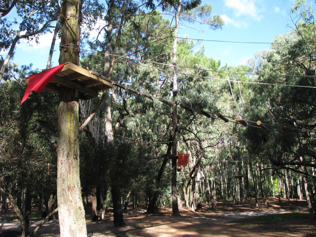 Green Park En Punta Del Este Punta del Este Exterior foto